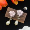 Earrings CCED-9110138