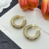 Earrings VVED-9110101