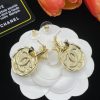 Earrings CCED-9110116 - Image 7